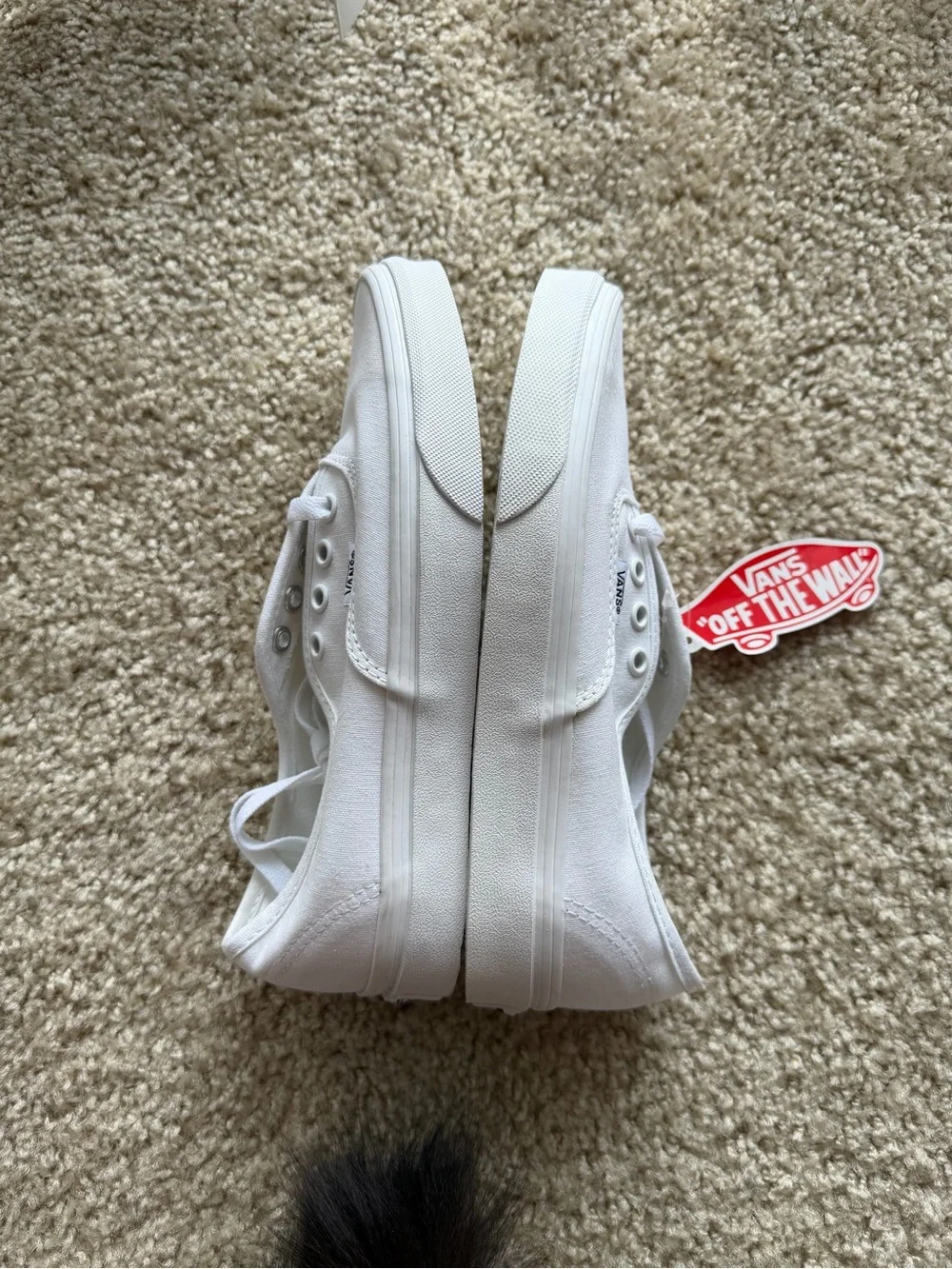 Vans White Sneakers